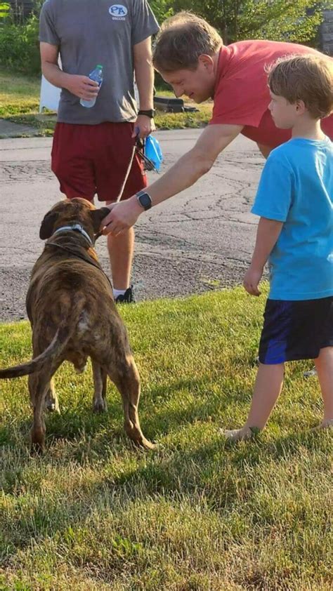 Cachorro C Ncer Re Ne Vizinhos Para Sua Ltima Caminhada