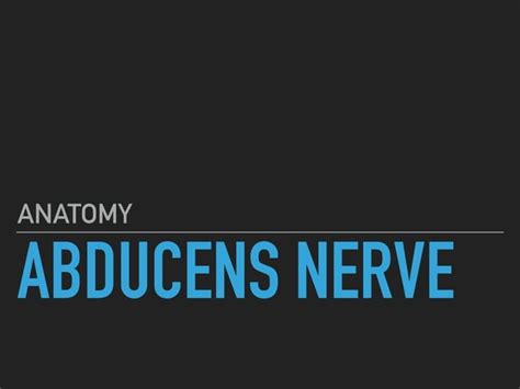 Abducens nerve | PPT