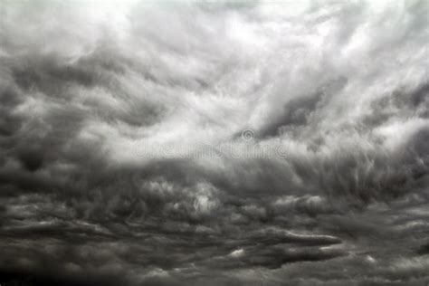 A Couple Of Birds Fly Through A Dark Thundercloud Stock Photo - Image ...