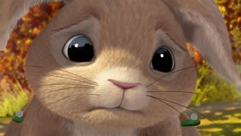 Scared Bunny by RufusMisser on DeviantArt