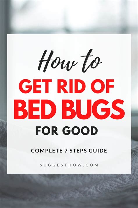 How To Get Rid Of Bed Bugs For Good Easy 7 Steps Guide