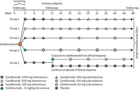 Efficacy And Safety Of 48 Weeks Of Guselkumab For Patients With Crohn S