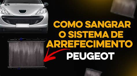 Como Sangrar O Sistema De Arrefecimento Peugeot Youtube