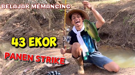 Mantap‼️ Strike 43 Ekor Ikan Memancing Dengan Gembira Youtube