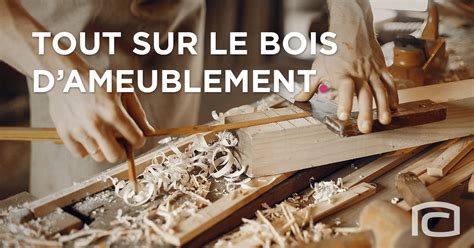 Quel Bois Dameublement Pour Votre Meuble On Vous Explique Tout