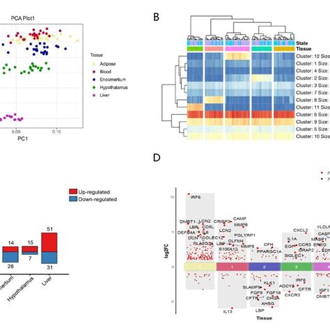 Transcriptional Expression Analysis Of Innate Immune Genes In Different