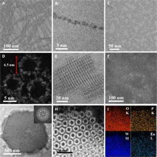 Characterization Of Single Cluster Nanowires Nanorings And D