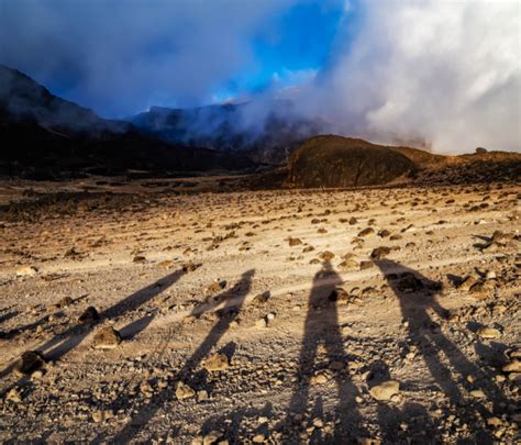 Kilimanjaro Wildlife, Don't expect a lot of sightings they are rare.