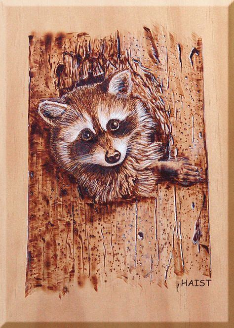 Raccoon By Ron Haist Wood Burning Patterns Wood Burning Stencils