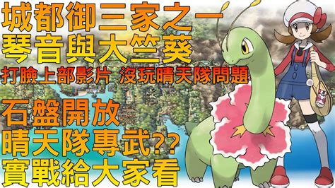 【foggy】【pokemon Masters Ex 寶可夢大師 Ex】最新晴天隊玩法配置 打臉上部影片內容 大竺葵石盤開放實戰給大家看