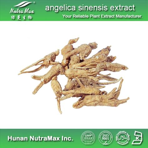 High Quality Angelica Sinensis Extract 10 1 Extract Powder China Angelica Sinensis Extract