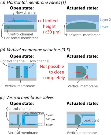 Cross Sectional Side Views Of Pneumatic Microvalves A Horizontal