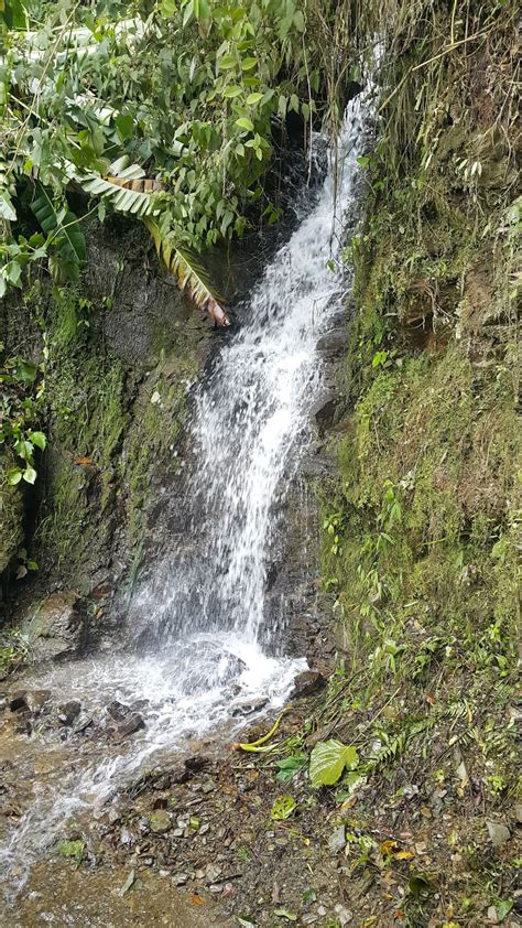 La Importancia De Proteger Las Fuentes De Agua