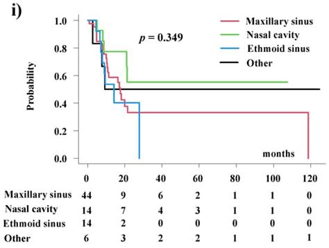 Cancers Free Full Text Reirradiation For Nasal Cavity Or Paranasal