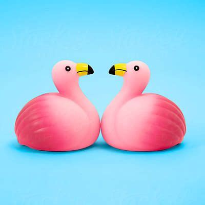 Rubber Flamingos Del Colaborador De Stocksy Pepino De Mar Studio