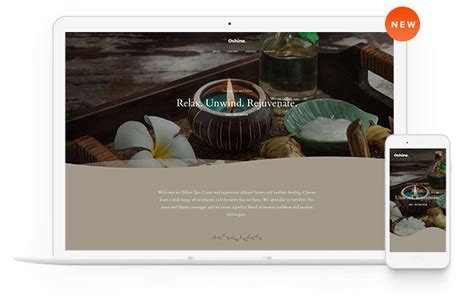 Oshine Multipurpose Creative WordPress Theme A Beautiful And