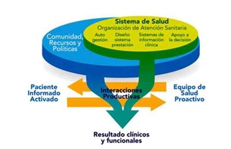 El Impacto De Las Enfermedades Crónicas En El Sistema De Seguridad Social Ciencia Y Salud