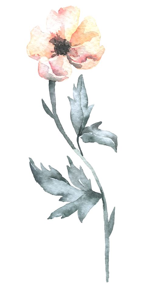 Wildflower Watercolor Beautiful Flower Watercolor Element 10829858 Png