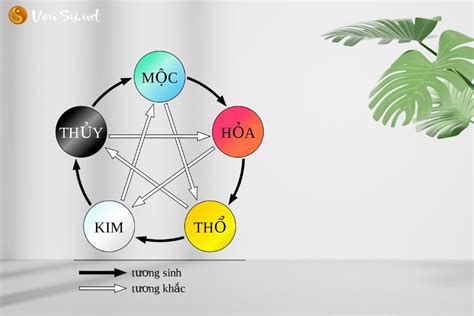 Tương Sinh Là Gì Các Mệnh Tương Sinh Trong Ngũ Hành