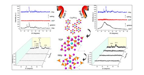 On Grounds Of The Memory Effect In Amorphous And Crystalline Apatite