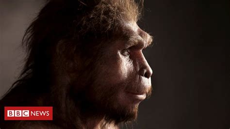 A Surpreendente Descoberta De Que O Homo Sapiens Conviveu