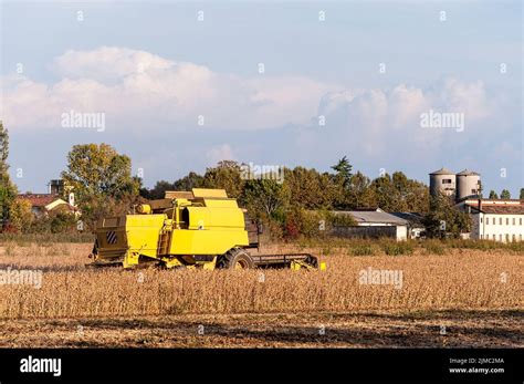 Harvesting Of Soybean Field With Combine Harvester Stock Photo Alamy