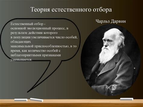ОТ СТАИ К ОБЩЕСТВУ - online presentation