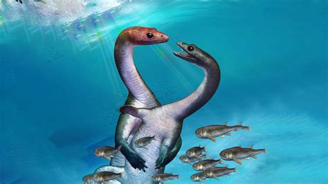 Fossils Provide First Evidence Of Puberty Onset In Ancient Marine Reptile