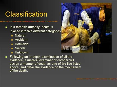 The Forensic Autopsy What Is An Autopsy N