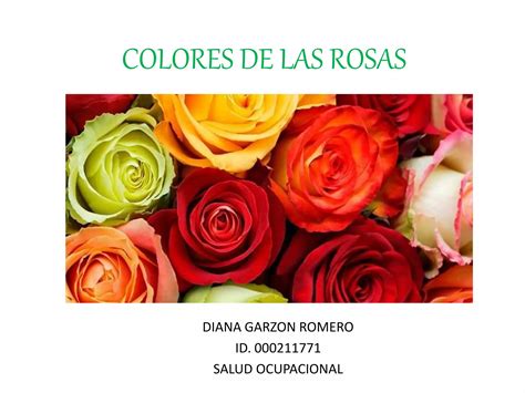 Colores De Las Rosas Ppt