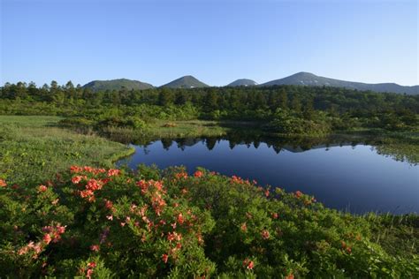 蔦七沼スポット体験公式青森県観光情報サイト Amazing AOMORI