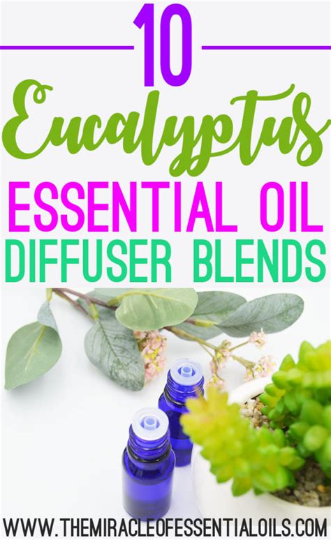 10 Eucalyptus Essential Oil Diffuser Blends The Miracle Of Essential Oils