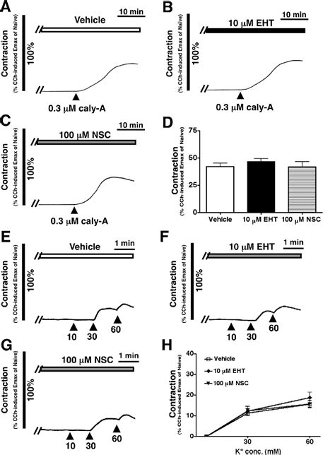 Figure From Pulmonary Gastrointestinal And Urogenital Pharmacology