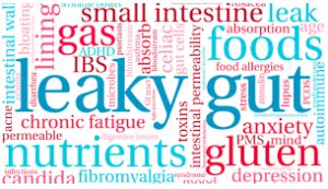 Intro To Gut Types Integrated Health Solution