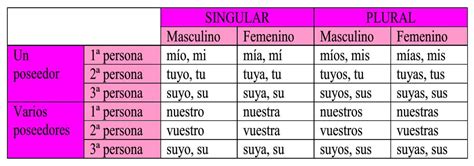 Lengua Y Literatura 5º De Primaria Los Determinantes Posesivos