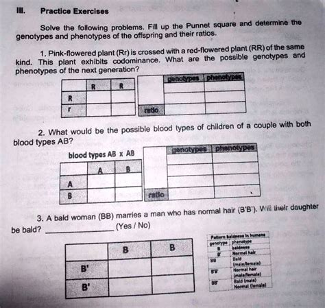 Solved Practice Exercises Solve The Following Problems Fill Up The Punnett Square And