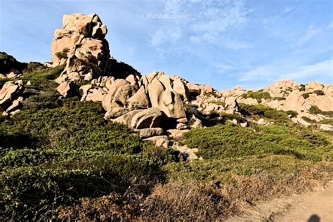 Valle della Luna Santa Teresa di Gallura paradiso per la comunità