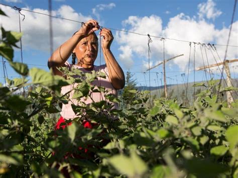 El empleo clave para una vida digna Ayuda en Acción