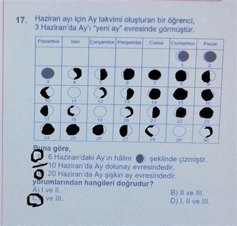 17 Haziran Ayı Için Ay Takvimi Oluşturan Bir öğrenci3 Haziranda Ayı