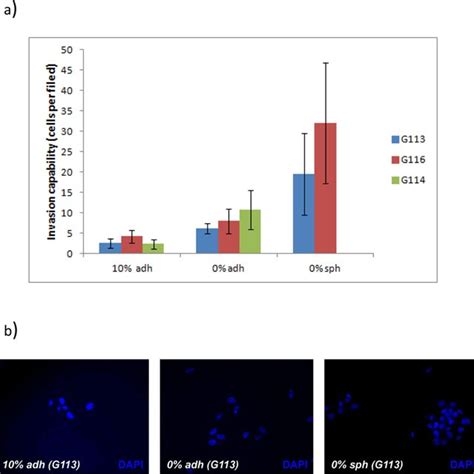 The Invasion Ability Of Glioblastoma Cells Cultured Under Three