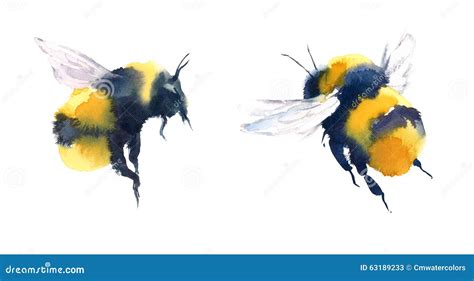 Bumble Bee Hummel Cartoon Hummel Stockvektoren Lizenzfreie Hummel