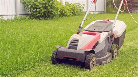 How Often Should You Mow Your Lawn Absolute Lawn Pros