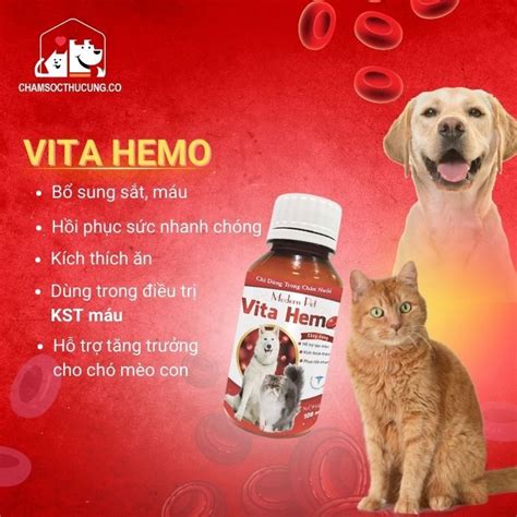 Vita Hemo Bổ Sung Sắt Hỗ Trợ Tạo Máu Cho Chó Mèo Modern Pet