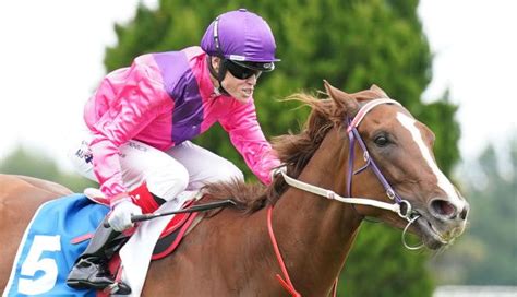 The High-Stakes Rider:  Unpacking The Net Worth Of Craig Williams