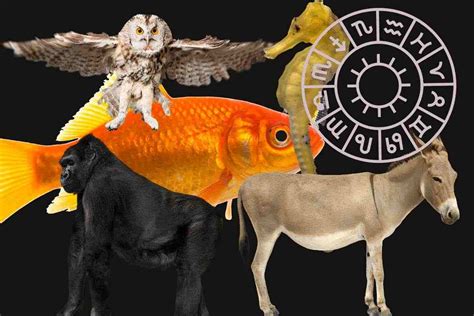 Sapevi che ogni segno zodiacale è connesso con lo spirito di un animale