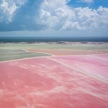 Imágenes de Las Coloradas Mexico descubre bancos de fotos