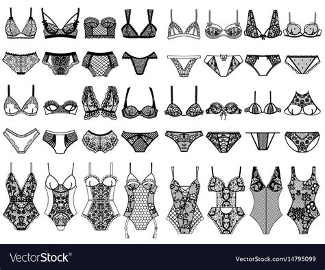 Collection Of Lingerie Panty And Bra Set Body Vector Image