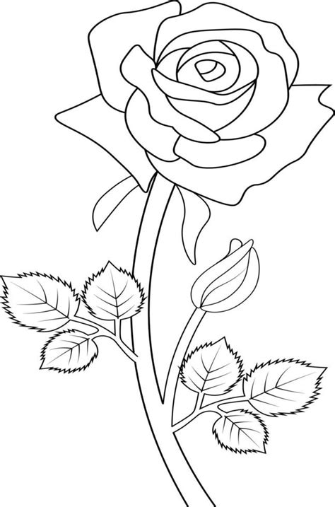 Rosas Para Colorear Y Libro Para Ni Os Plantas Dibujadas A Mano