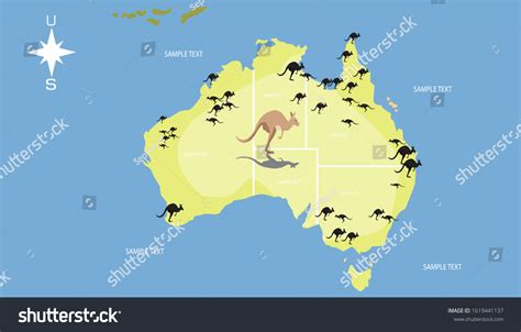 Distribution Kangaroo Habitat On Broad Savanna Stock Vector (Royalty ...