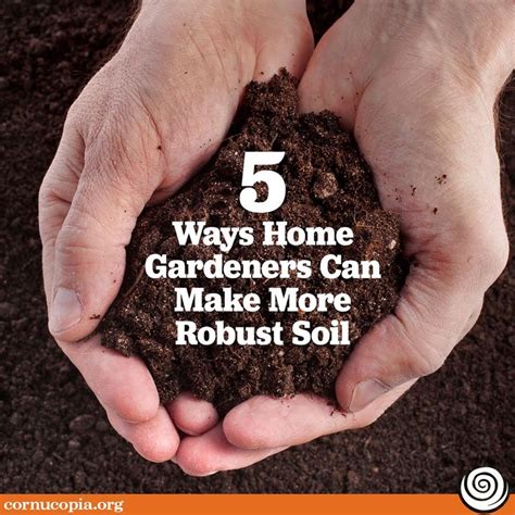 Grow Your Soil One Of The Keys To Strong Plants And Excellent Produce